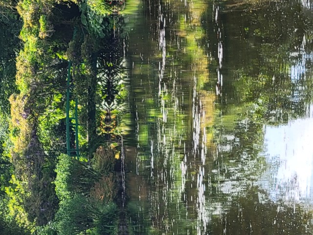20220519_165023.jpg